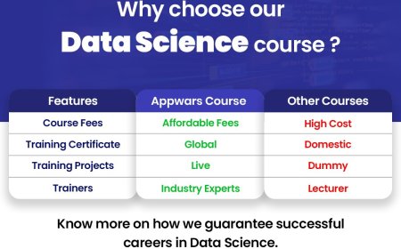 Your Guide to the Best Data Science Courses in Noida