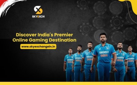 Sky Exchange: A Beginner’s Guide to Online Sports and Casino Gaming