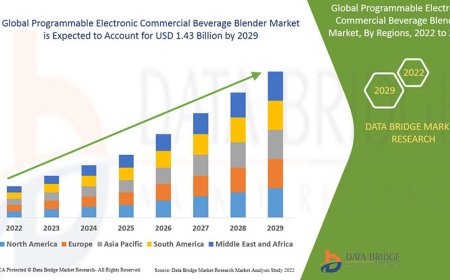 Programmable Electronic Commercial Beverage Blender Market Size, Share, Trends, Demand, Growth and Competitive Analysis