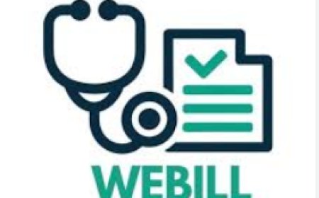When to Use It and When Not To – Webill’s Best Practices