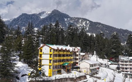 Exciting Manali Tour Package 2 Days 1 Night Getaway Plan