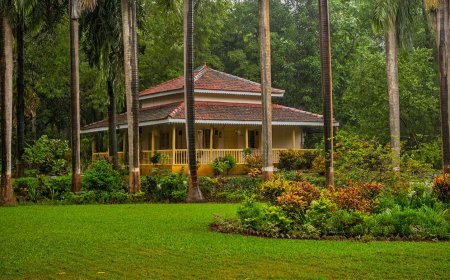 Explore Wildlife Wonders at Sayaji Baug Zoo in Vadodara