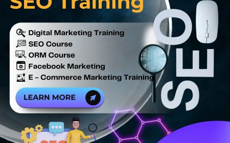 SEO Trends – Learn Them Free With Our Training