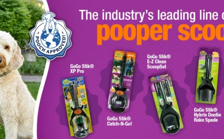 Why Proper Dog Waste Disposal Matters