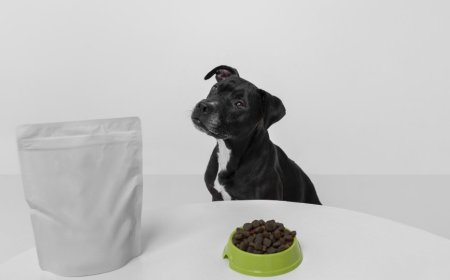 Why Responsible Pet Waste Cleanup Matters