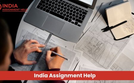 Management Assignment Help: Your Academic Partner for Business Success