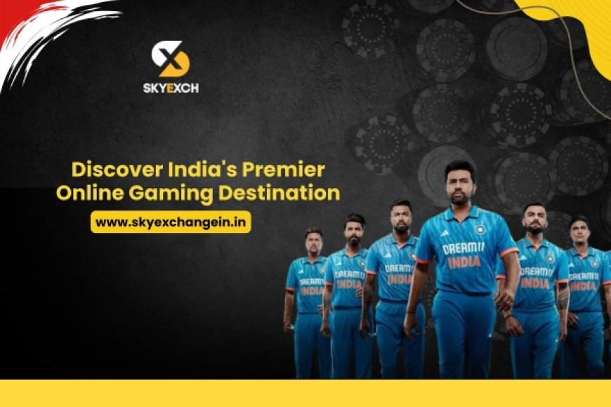 Sky Exchange: A Beginner’s Guide to Online Sports and Casino Gaming