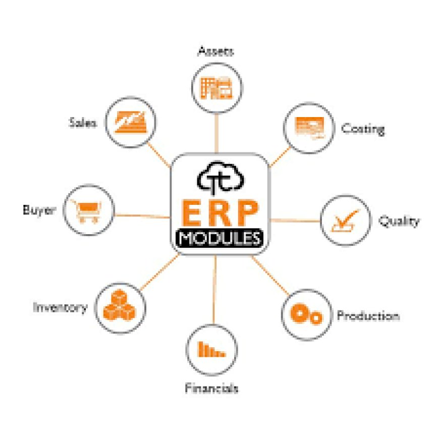 ERP System: A Detailed Perspective
