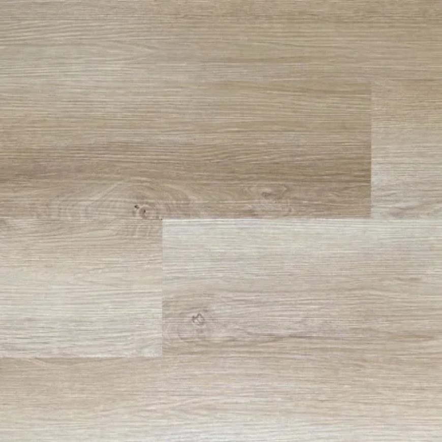 The Future of Flooring: Parma Floors Leads the Way for Flooring Supply Distributors