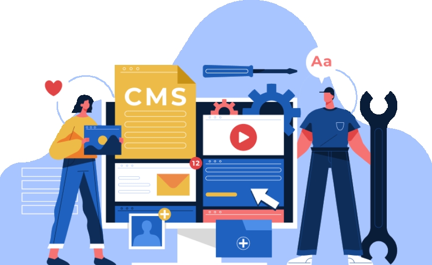 CMS Web Development