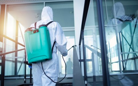 Crush Bed Bugs with Thermal Power: Heat Treatment by Presidio Pest Management