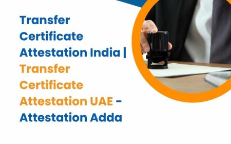 Transfer Certificate Attestation India and UAE: Everything You Need to Know