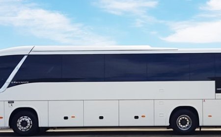 Graveyards of Glory: The Untold Stories Behind America’s Oldest Car Yards