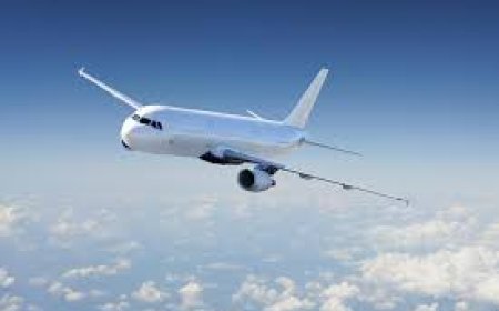 cathay flight status