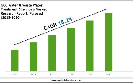 GCC Water & Waste Water Treatment Chemicals Market Report 2025–2030: Size, Share & Forecast