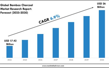Bamboo Charcoal Market Report 2025–2030: Size, Share & Forecast
