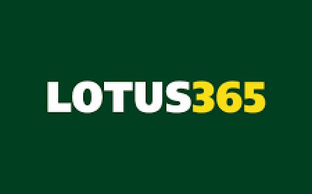 A Beginner’s Guide to Lotus365 Login and Online Betting Success