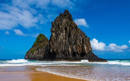 Turkish Airlines New York City Office: Your Gateway to Seamless Global Travel