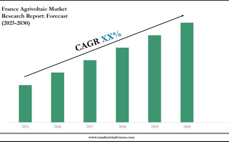 Forecasting the France Agrivoltaic Market: Key Metrics & Industry Overview