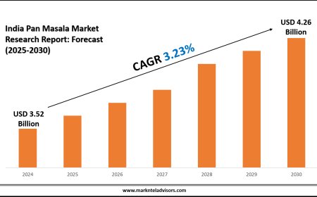 India Pan Masala Segment Growth and Forecast Analysis (2025–2030)