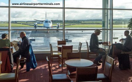 Spirit Airlines Terminal in LAX: Arrival, Departure & Services Guide