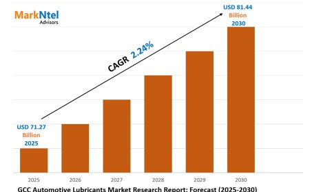 GCC Automotive Lubricants Market Report 2025–2030: Demand, Value & Share Outlook