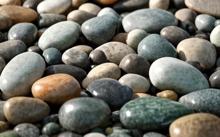 Polished Pebbles for Sale – Decorative, Smooth Stones for Landscaping & Crafts