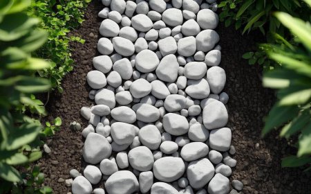 Premium Snow White Pebbles for Sale – Natural Landscaping & Decorative Stones