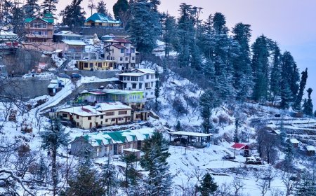 Affordable and Best Shimla Tour Package for Unforgettable Trips