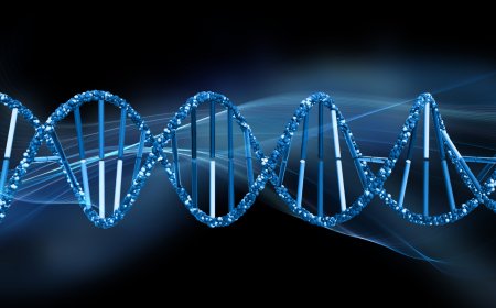 Advancing Biotechnology in Pakistan with Custom DNA and RNA Oligos