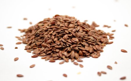 Organic Sesame Seeds – Trusted Supplier in Pakistan