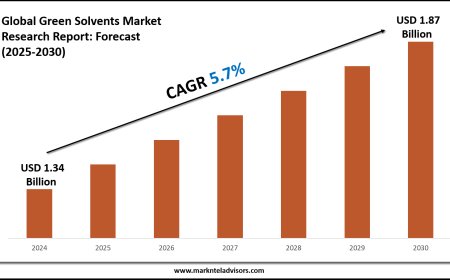 Green Solvents Market Forecast 2025–2030: Key Players, Trends & Outlook