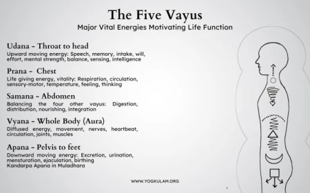 Understanding Apana Vayu: Meaning, Function, and Significance in Yoga and Ayurveda