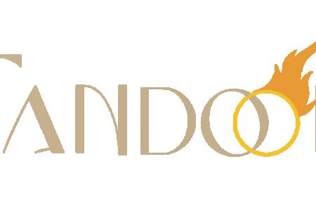 Best Indian Restaurants in Chicago: A Flavor-Packed Culinary Tour