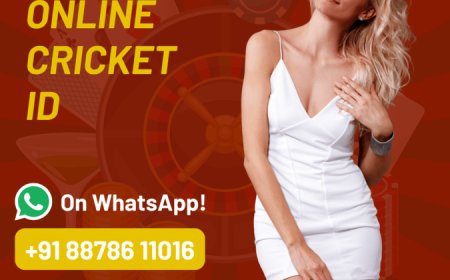 Cricket Betting Id Provider: Leading Platform for Safe Online Betting