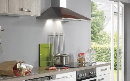 Experience Induction Cooking: A Culinary Revolution for the Modern Home