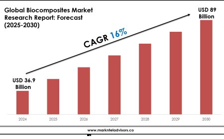 Biocomposites Market Forecast 2025–2030: Key Players, Trends & Outlook