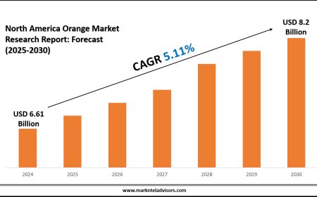 North America Orange Market Revenue Set to Hit USD 8.2 Billion by 2030
