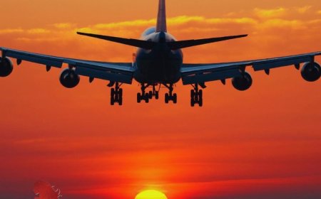 united airlines chicago office