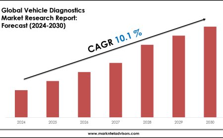 Vehicle Diagnostics Market Forecast 2024–2030: Key Players, Trends & Outlook