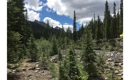 The Benefits of Relocating to Colorado