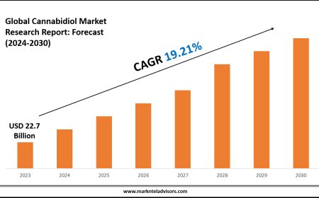 Cannabidiol Market Forecast 2024–2030: Key Players, Trends & Outlook
