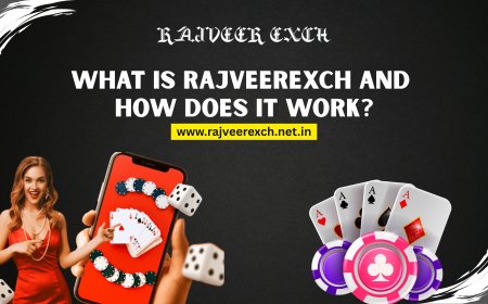 RajveerExch: Your Gateway to Safe and Smart Online Betting