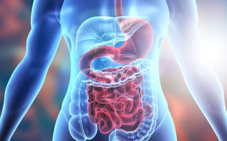 Common Digestive Problems and How to Prevent Them