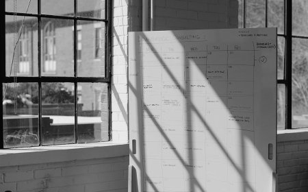Potential The Transformative Power of Executive Business Coaching