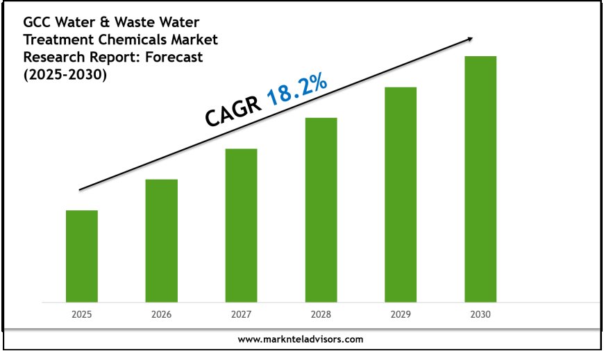GCC Water & Waste Water Treatment Chemicals Market Report 2025–2030: Size, Share & Forecast