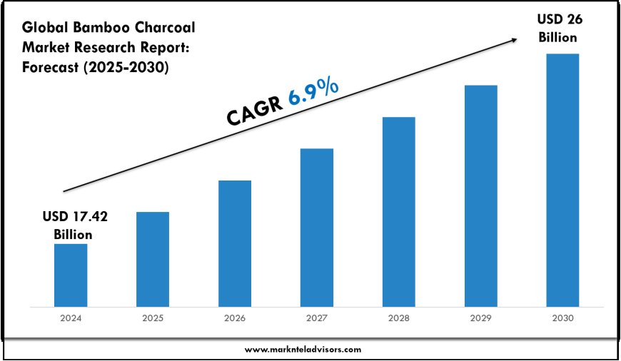 Bamboo Charcoal Market Report 2025–2030: Size, Share & Forecast