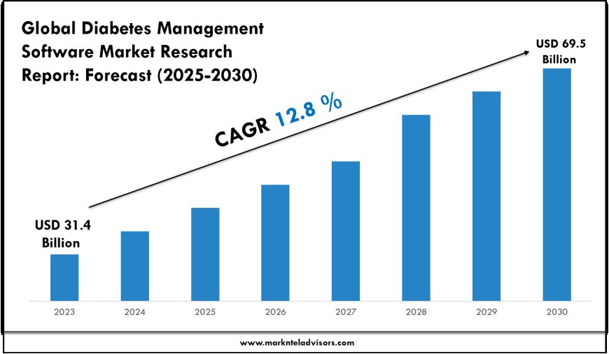 Diabetes Management Software Market Trends 2025–2030: Share, Value & Opportunities