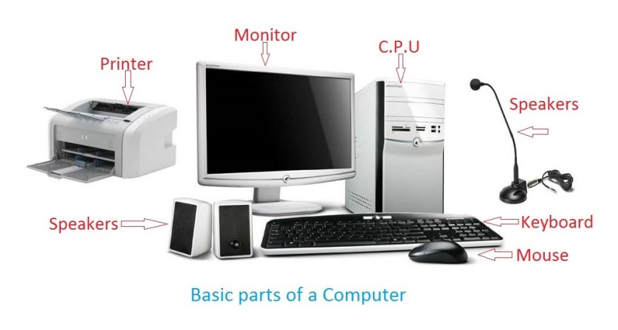 Complete Guide to the Parts of a Computer: Understanding Each Component