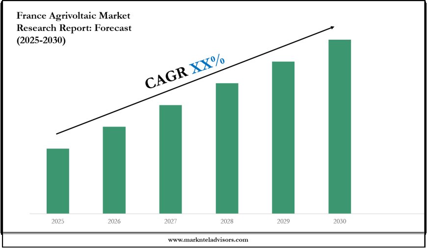 Forecasting the France Agrivoltaic Market: Key Metrics & Industry Overview